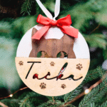 Novoletni okrasek: Mucka