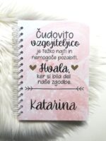 Knjiga: Vzgojiteljica